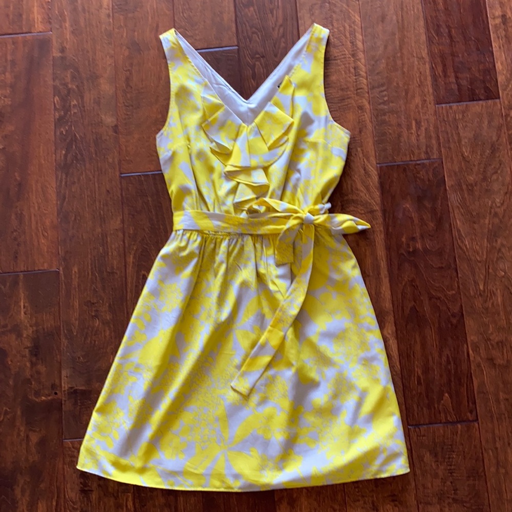 V neck and v back summer dress from Express